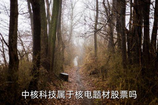 中核科技是什么板塊，中核科技屬于核電題材股票嗎