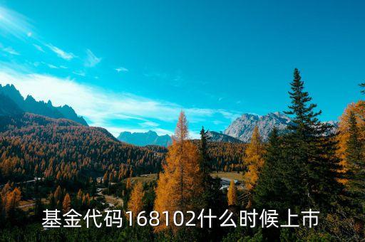 168101基金什么時(shí)候上市，基金代碼168102什么時(shí)候上巿