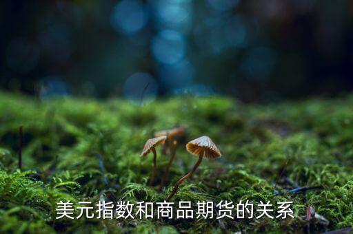 燃油指數(shù)和燃油期貨什么關(guān)系，美元指數(shù)和商品期貨的關(guān)系