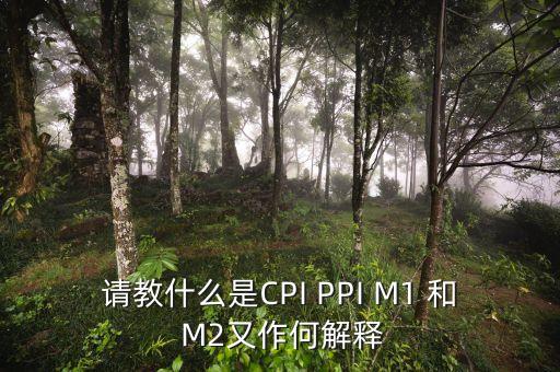 m2指數(shù)是什么，請(qǐng)教什么是CPI PPI M1 和 M2又作何解釋