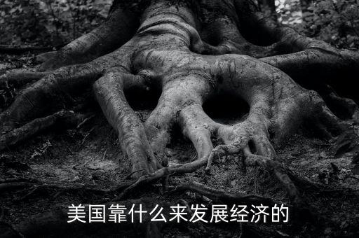美國(guó)經(jīng)濟(jì)靠什么，美國(guó)靠什么來(lái)發(fā)展經(jīng)濟(jì)的