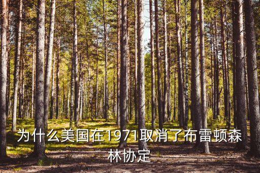 什么取代了布雷頓森林體系，布雷頓森林體系的產生說明了