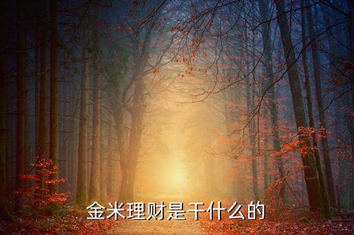 金舟理財(cái)是什么投資，金米理財(cái)是干什么的