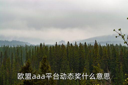 歐盟aaa現(xiàn)在什么情況，歐盟AAA開了多久穩(wěn)定嗎