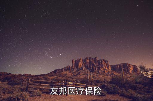 花旗代理友邦什么保險(xiǎn)，花旗和友邦合作的意外保險(xiǎn)怎么樣