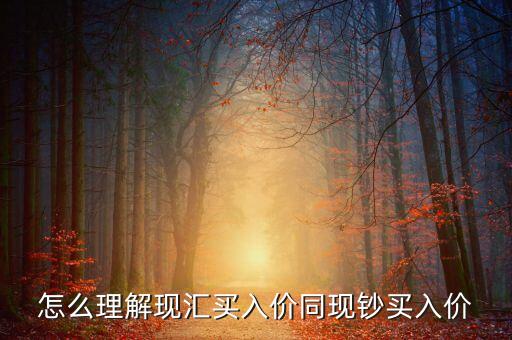 為什么現(xiàn)匯買入價比現(xiàn)鈔買入價高，為什么即期外匯牌價中現(xiàn)匯買入價和現(xiàn)鈔買入價不一樣為什么現(xiàn)匯