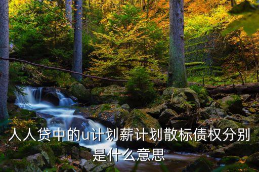 人人貸中的u計劃薪計劃散標債權(quán)分別是什么意思