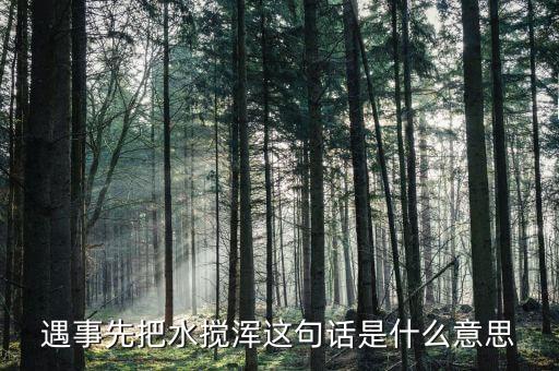 攪渾水什么意思，遇事先把水?dāng)嚋嗊@句話是什么意思