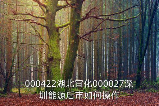 000027之前名什么，000422湖北宜化000027深圳能源后市如何操作