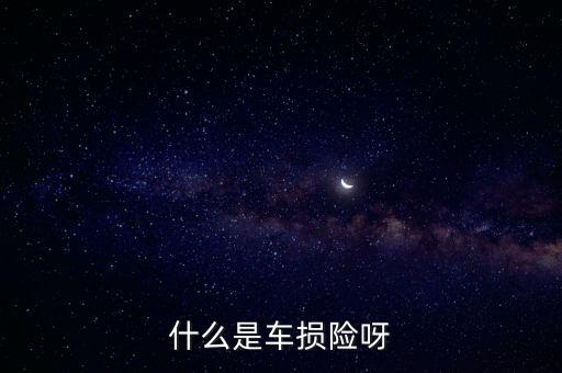 汽車(chē)車(chē)損險(xiǎn)是什么，汽車(chē)什么是車(chē)損險(xiǎn)定義