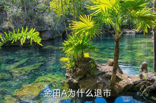 金田為什么退市，誰還記得深金田是那一年退市的