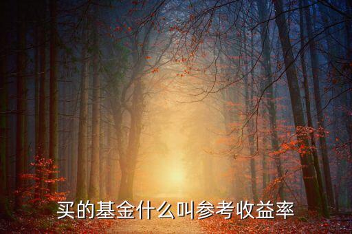 定增基金參考收益是什么意思，基金里面的參考收益率是什么