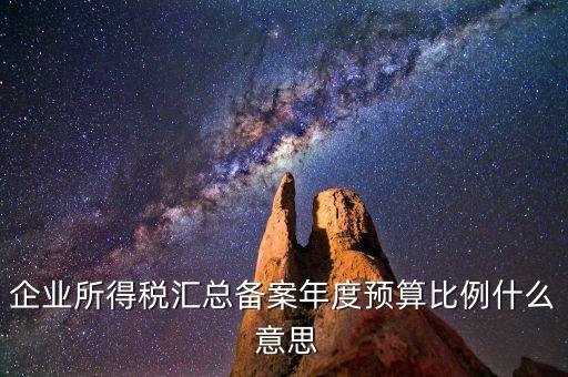 什么是財政調(diào)庫，總機構(gòu)在國稅繳納所得稅并且企業(yè)所得稅匯總分支機構(gòu)還用在地稅繳納