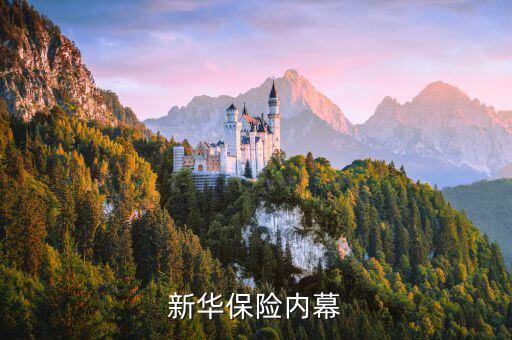 新華保險(xiǎn)康典為什么會(huì)辭職，原新華保險(xiǎn)董事長(zhǎng)康典上哪兒去了