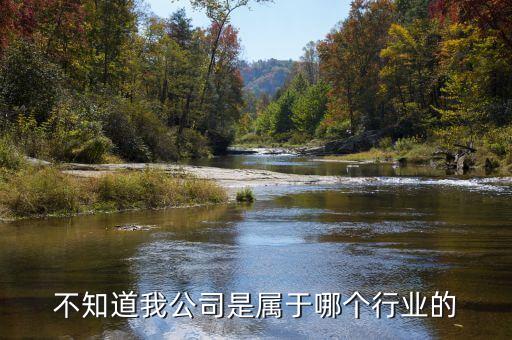 飛躍集團屬于什么行業(yè)，臺州飛 躍集團是做什么的