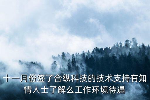 合縱科技是做什么的，合縱科技在那個(gè)開發(fā)區(qū)