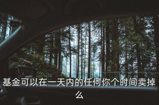 基金可以在一天內的任何你個時間賣掉么