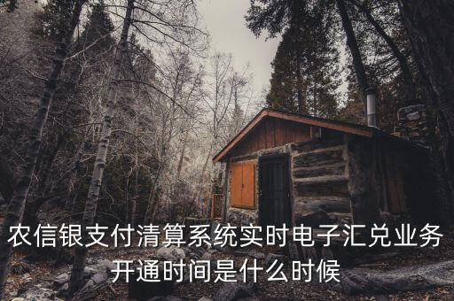 什么是特約電子匯兌，各位大神請問有誰知道建行卡交易明細清單上寫的特約匯融