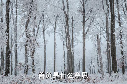 首負(fù)金額是什么意思，什么是增負(fù)金額