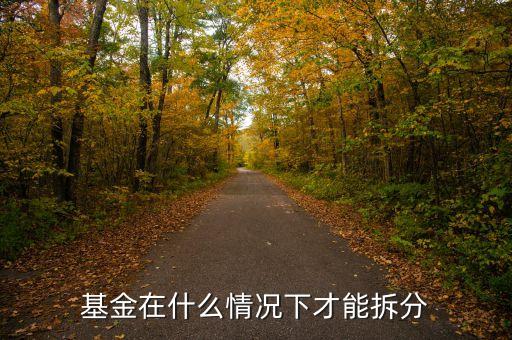 165523基金什么時(shí)候下拆了，基金在什么情況下才能拆分