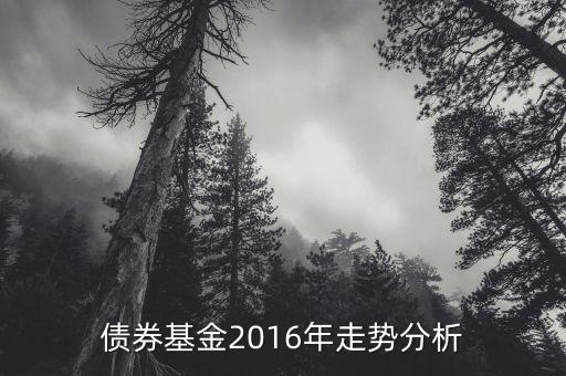 2016年的債券的投資的方向是什么，債券基金2016年走勢分析