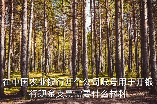 在中國農(nóng)業(yè)銀行開個(gè)公司賬號(hào)用于開銀行現(xiàn)金支票需要什么材料
