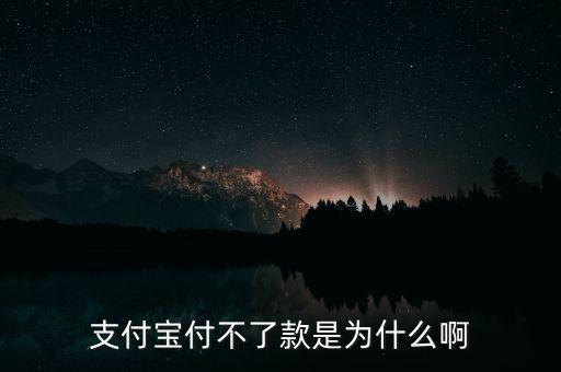 手機(jī)支付寶為什么不能付款，支付寶付不了款是為什么啊