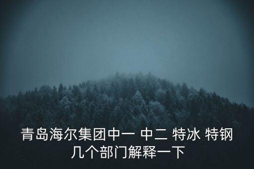 海爾內(nèi)銷是什么意思，有帶鎖的冰箱么冷藏冷凍功能都要有的謝謝