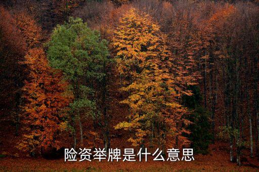 保險(xiǎn)資金舉牌是什么意思，險(xiǎn)資舉牌是什么意思