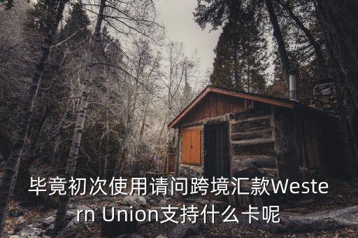 什么是西聯(lián)，畢竟初次使用請(qǐng)問(wèn)跨境匯款Western Union支持什么卡呢