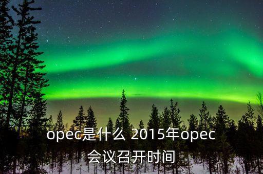 什么是opec會議，OPEC石油會議是什么時候召開啊石油價格會受影響嗎