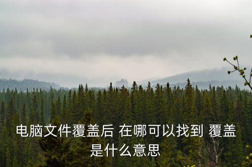 首次覆蓋是什么意思，首次覆蓋給予買入評級 什么意思
