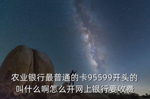 農業(yè)銀行最普通的卡95599開頭的叫什么啊怎么開網上銀行要收費