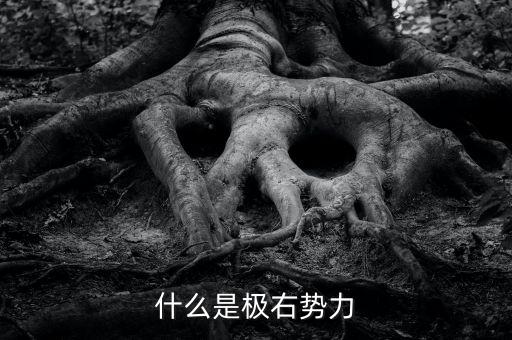 歐洲極右勢力是什么，什么是極右勢力