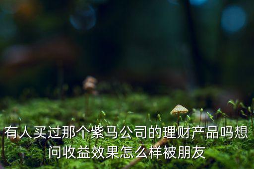 紫馬財(cái)富什么時(shí)間，有人買過(guò)那個(gè)紫馬公司的理財(cái)產(chǎn)品嗎想問(wèn)收益效果怎么樣被朋友