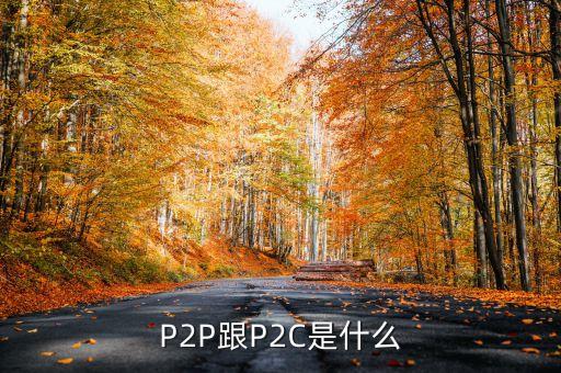p2c平臺是什么，什么是P2P什么是P2C