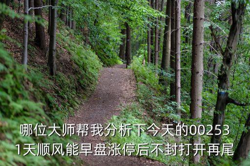 哪位大師幫我分析下今天的002531天順風(fēng)能早盤(pán)漲停后不封打開(kāi)再尾