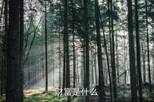 財(cái)富是什么莫奈，財(cái)富是什么