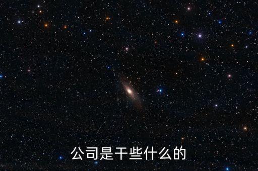 做什么的公司，公司是干些什么的