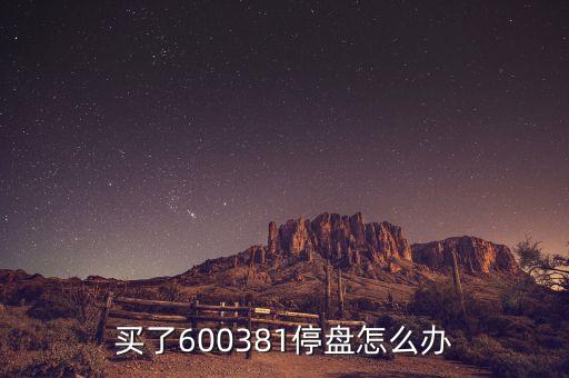 600381為什么被st，買了600381停盤怎么辦