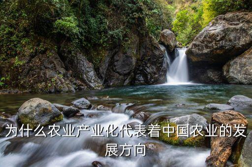 為什么要農(nóng)業(yè)產(chǎn)業(yè)化，為什么要提倡公司基地農(nóng)戶(hù)的產(chǎn)業(yè)化模式
