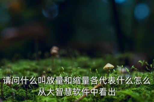 什么是放量和縮量圖片，請問什么叫放量和縮量各代表什么怎么從大智慧軟件中看出