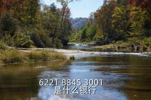 1807是什么銀行的，6217998700001600868是什么銀行的