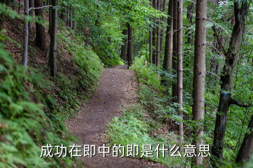 成功在即是什么意思，成功在即的即什么意思