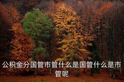 什么是國(guó)管公積金，公積金分國(guó)管市管什么是國(guó)管什么是市管呢