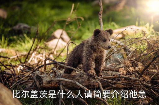 比爾蓋茨是個什么樣的人，比爾蓋茨是什么族裔的人
