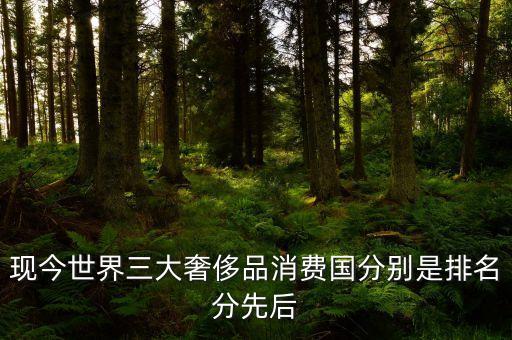 中國(guó)人在海外什么國(guó)家購(gòu)買奢侈品，現(xiàn)今世界三大奢侈品消費(fèi)國(guó)分別是排名分先后