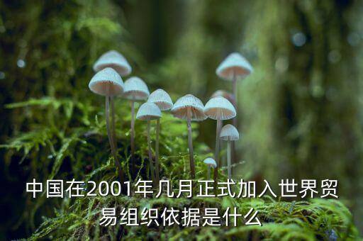 中國(guó)是什么時(shí)候加入gatt，中國(guó)是什么時(shí)間加入的