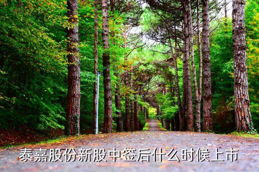 泰嘉新材什么時候上市，300397什么時候上市