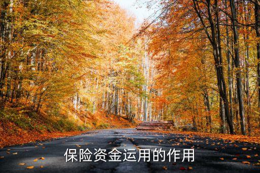 保險(xiǎn)資金運(yùn)用余額什么意思，保險(xiǎn)每年的資金運(yùn)用余額具體是什么